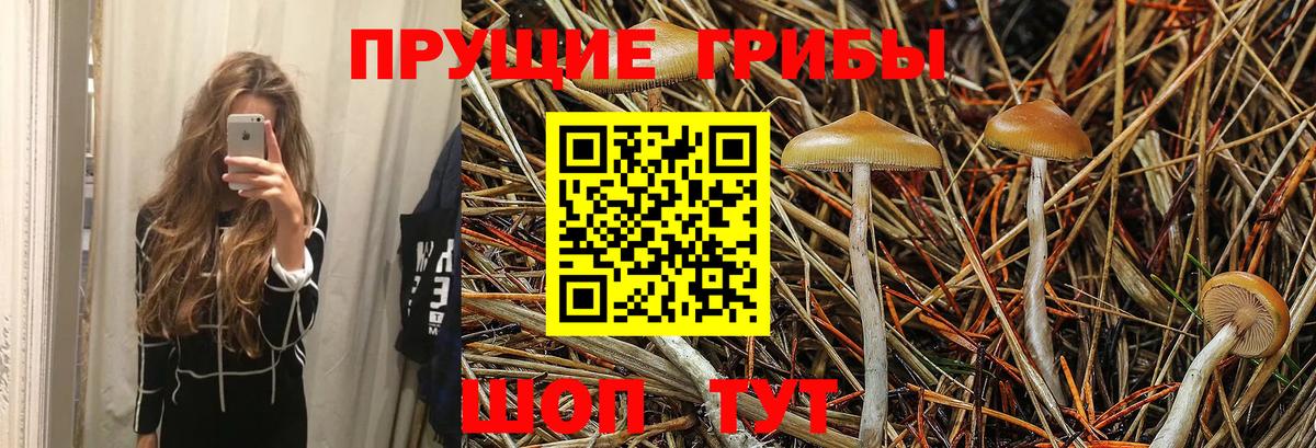 Барнаул  Галлюциногенные грибы MAGIC MUSHROOMS  Псилоцибиновые грибы Cubensis  Вход с VPN 