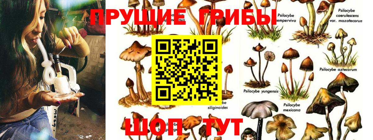 Псилоцибиновые грибы MAGIC MUSHROOMS Барнаул